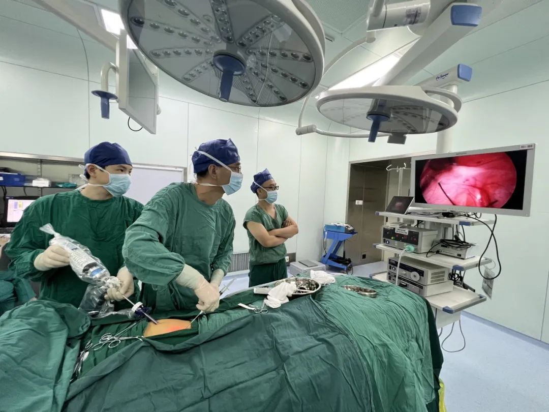 1692261747354473.jpg 640 (4).jpg